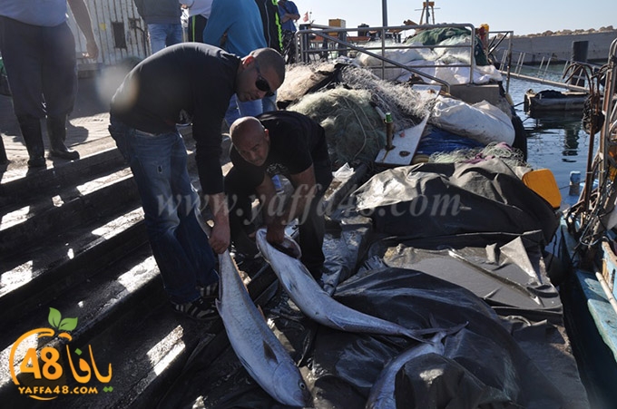 samak antayasa (18).JPG